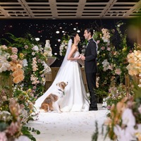 5994_the singaporebrides wedding fair 2026 (1080 x 1080 px).buzz